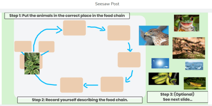 Seesaw for EAL and young&nbsp;learners