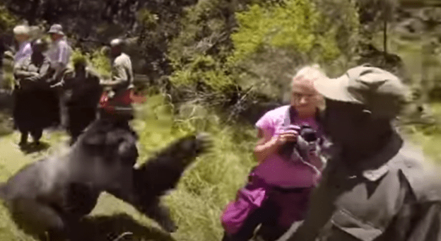 Daily Dose of Internet&nbsp;#6